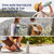 SODASTREAM - FIZZ&GO STAINLESS MINT - 2250006397 SODASTREAM 7 | trony.live