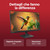 LENOVO - Lenovo L24-4e Monitor 23,8" IPS FHD 1920x1080 100Hz 4ms - HDMI/VGA St,Tilt - 2250010366 LENOVO 6 | trony.live