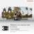 THOMSON - 65QG6C14 - 2250012361 THOMSON 16 | Trony.it