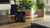 PHILIPS - TAQ2000BK/00 - 2250006798 PHILIPS 15 | Trony.it