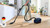 BOSCH - BGL38BU1 - 2230014019 BOSCH 3 | Trony.it
