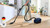 BOSCH - BGL38BU1 - 2230014019 BOSCH 3 | trony.live
