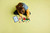 LEGO - 21275 MINECRAFT CASA NELLA GIUNGLA ESPLOSIVA - 2250008518 LEGO 20 | Trony.it