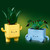 LEGO - 10349 PIANTINE FELICI - 2250008507 LEGO 15 | trony.live