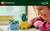 LEGO - 10349 PIANTINE FELICI - 2250008507 LEGO 26 | trony.live