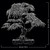 LEGO - 10348 BONSAI DI ACERO ROSSO - 2250008442 LEGO 18 | Trony.it