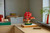 LEGO - 10348 BONSAI DI ACERO ROSSO - 2250008442 LEGO 30 | Trony.it