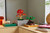 LEGO - 10348 BONSAI DI ACERO ROSSO - 2250008442 LEGO 31 | Trony.it