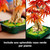 LEGO - 10348 BONSAI DI ACERO ROSSO - 2250008442 LEGO 39 | Trony.it