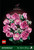 LEGO - 10374 BOUQUET DI ROSE ROSA LEGO BOTANICALS - 2250012347 LEGO 9 | Trony.it