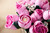 LEGO - 10374 BOUQUET DI ROSE ROSA LEGO BOTANICALS - 2250012347 LEGO 22 | Trony.it