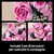 LEGO - 10374 BOUQUET DI ROSE ROSA LEGO BOTANICALS - 2250012347 LEGO 47 | Trony.it