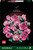 LEGO - 10374 BOUQUET DI ROSE ROSA LEGO BOTANICALS - 2250012347 LEGO 0 | Trony.it
