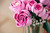 LEGO - 10374 BOUQUET DI ROSE ROSA LEGO BOTANICALS - 2250012347 LEGO 21 | Trony.it