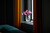 LEGO - 10374 BOUQUET DI ROSE ROSA LEGO BOTANICALS - 2250012347 LEGO 32 | Trony.it