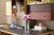LEGO - 10374 BOUQUET DI ROSE ROSA LEGO BOTANICALS - 2250012347 LEGO 40 | Trony.it