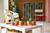 LEGO - LEGO ICONS PIANTINE- 10329 - 2250015592 LEGO 24 | Trony.it