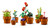 LEGO - LEGO ICONS PIANTINE- 10329 - 2250015592 LEGO 12 | Trony.it