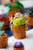 LEGO - LEGO ICONS PIANTINE- 10329 - 2250015592 LEGO 22 | Trony.it