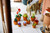 LEGO - LEGO ICONS PIANTINE- 10329 - 2250015592 LEGO 26 | Trony.it
