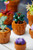 LEGO - LEGO ICONS PIANTINE- 10329 - 2250015592 LEGO 29 | Trony.it