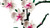 LEGO - 10311 ORCHIDEA - 2250015582 LEGO 91 | Trony.it