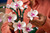 LEGO - 10311 ORCHIDEA - 2250015582 LEGO 9 | Trony.it