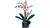 LEGO - 10311 ORCHIDEA - 2250015582 LEGO 28 | Trony.it