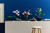 LEGO - 10311 ORCHIDEA - 2250015582 LEGO 44 | Trony.it