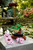 LEGO - 10281 ALBERO BONSAI - 2250015581 LEGO 26 | trony.live
