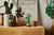 LEGO - 10344 BAMB DEL BUON AUSPICIO - 2250015998 LEGO 26 | Trony.it