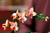 LEGO - 10343 MINI-ORCHIDEA - 2250015997 LEGO 22 | Trony.it