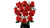 LEGO - 10328 BOUQUET DI ROSE - 2250015995 LEGO 24 | Trony.it