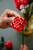 LEGO - 10328 BOUQUET DI ROSE - 2250015995 LEGO 8 | Trony.it