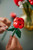 LEGO - 10328 BOUQUET DI ROSE - 2250015995 LEGO 9 | Trony.it