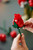 LEGO - 10328 BOUQUET DI ROSE - 2250015995 LEGO 13 | Trony.it