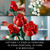 LEGO - 10328 BOUQUET DI ROSE - 2250015995 LEGO 43 | Trony.it