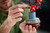 LEGO - 10369 ALBICOCCO GIAPPONESE - 2250015991 LEGO 19 | Trony.it