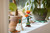 LEGO - 10368 CRISANTEMO - 2250015990 LEGO 26 | Trony.it
