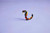 LEGO - ANIMALI SELVATICI :RAGNO TRASFORMISTA-31159 - 2250015945 LEGO 18 | Trony.it
