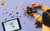 LEGO - ANIMALI SELVATICI :RAGNO TRASFORMISTA-31159 - 2250015945 LEGO 15 | Trony.it