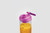 NUTRIBULLET - NUTRIBULLET FLEX  FRULLATORE COMPATTO NBP013VT - 2250012858 NUTRIBULLET 2 | trony.live