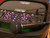 TREVI - XF 4400 DJ - 2250004888 TREVI 5 | Trony.it