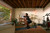 AMAZFIT - ACTIVE MAX - 2250016930 AMAZFIT 17 | Trony.it