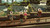 NINTENDO - ANIMAL CROSSING: NEW HORIZONS-NINTENDO SWITCH 2 ED - 2260001128 NINTENDO 1 | Trony.it