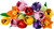 LEGO - 11501 BOUQUET DI TULIPANI - 2250016645 LEGO 1 | Trony.it