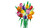 LEGO - 11501 BOUQUET DI TULIPANI - 2250016645 LEGO 13 | Trony.it