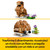 LEGO - 31376 SIMPATICO CRICETO CON FIORE LEGO CREATOR - 2250017845 LEGO 31 | Trony.it