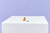 LEGO - 31376 SIMPATICO CRICETO CON FIORE LEGO CREATOR - 2250017845 LEGO 23 | Trony.it
