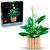 LEGO - 11504 SPATIFILLO LEGO BOTANICALS - 2250017838 LEGO 11 | Trony.it